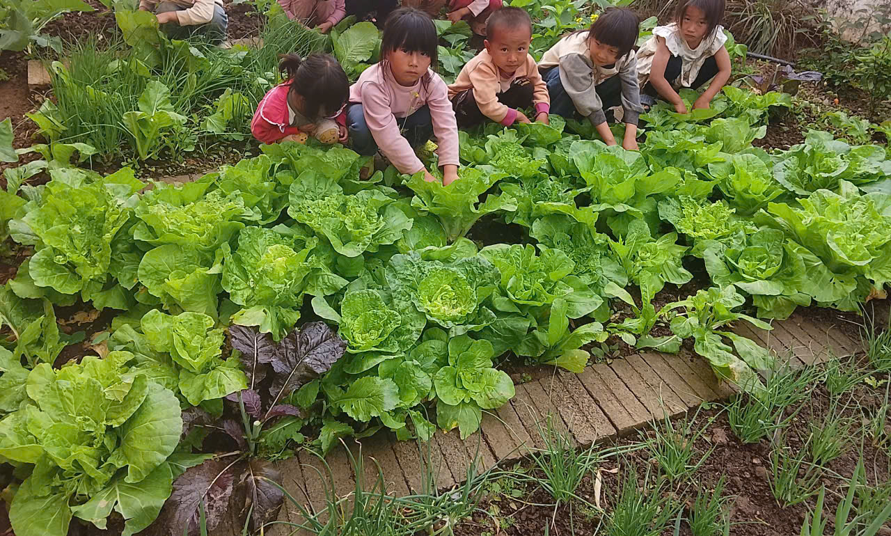 Trẻ nhổ cỏ vườn rau