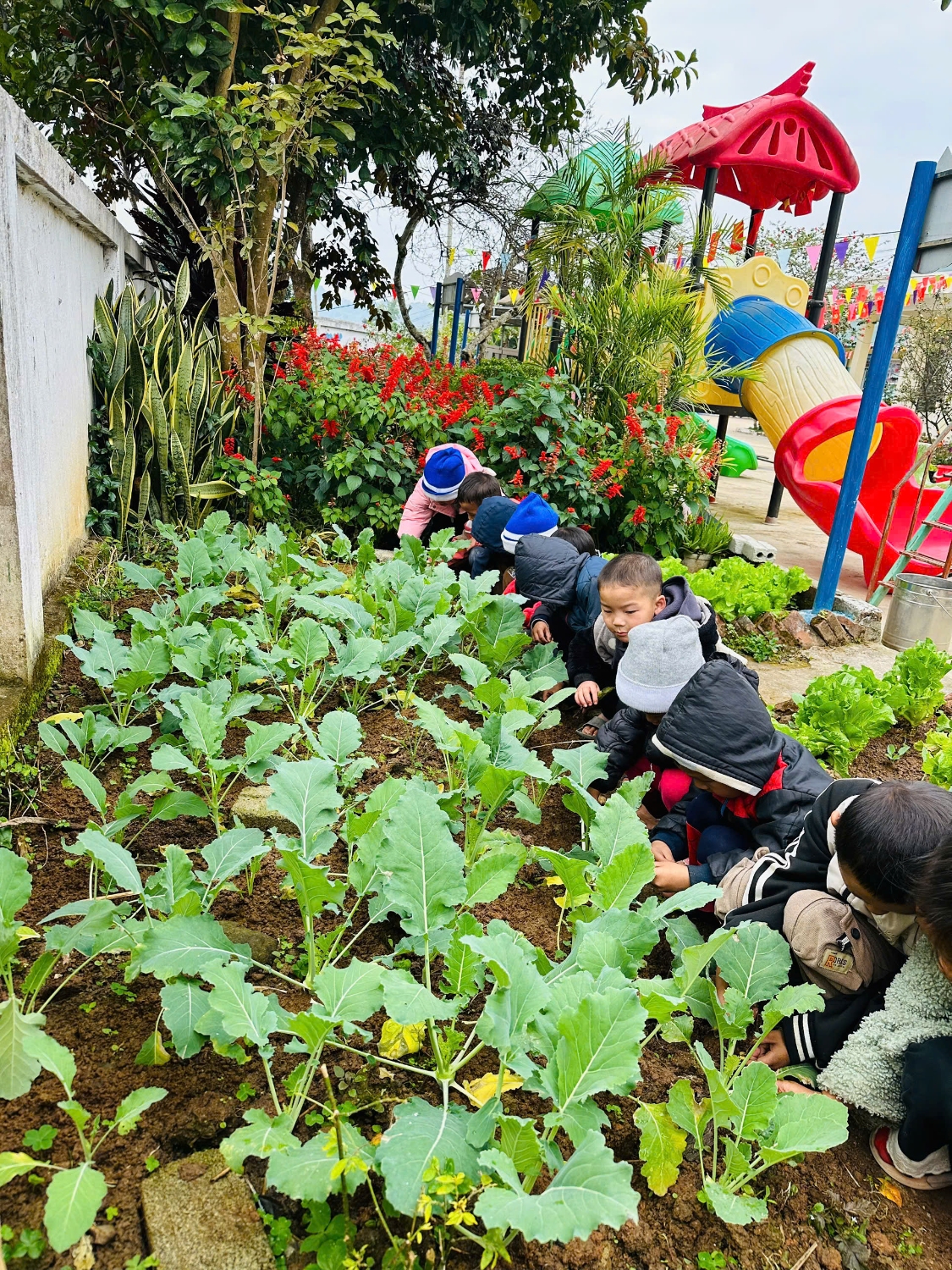 z7434482701820 258baeabb2645c886a3d20fc2c266106