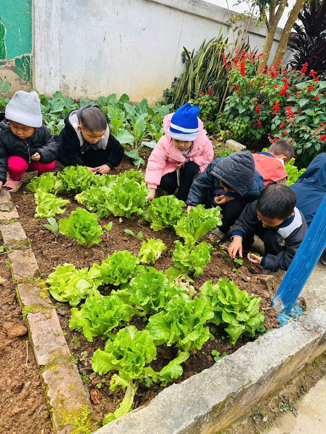 z7434482711297 3293f1cd4ecc192881f5f097f1496dae