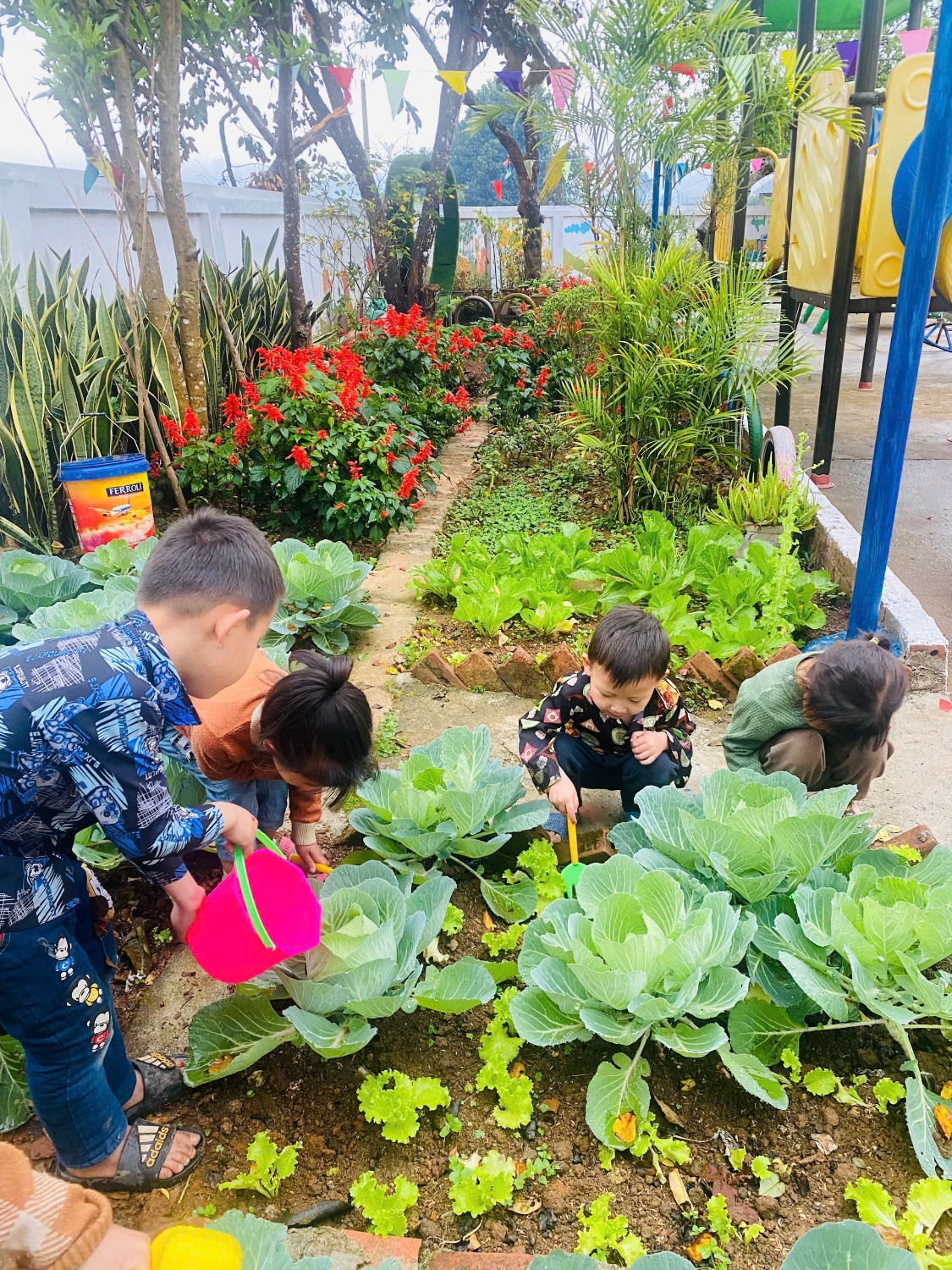 z7434482775144 65370c1ee95f785459975a7c0ce19a6c